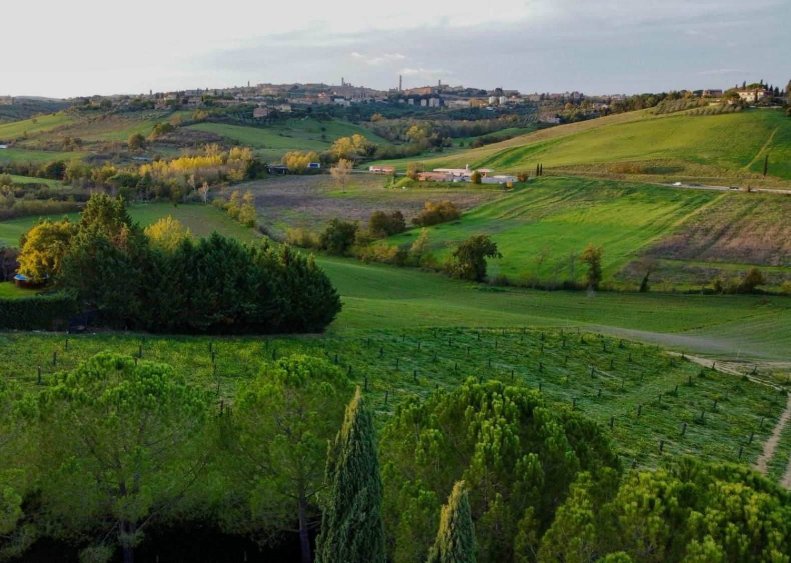 Agriturismo La Terrazza Sul Mangia Siena Luaran gambar