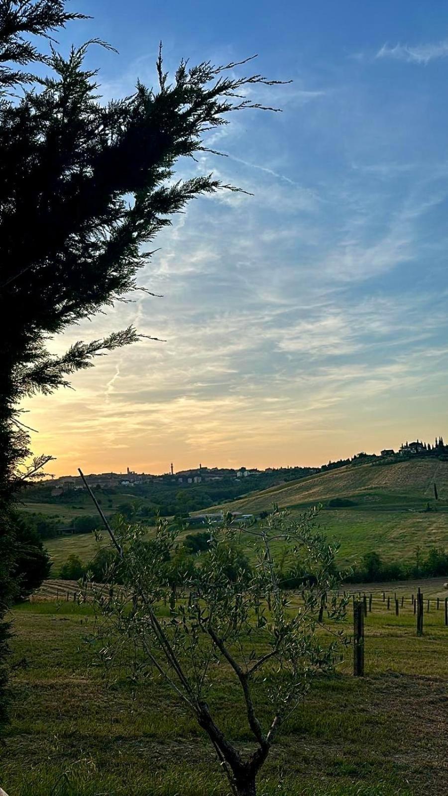 Agriturismo La Terrazza Sul Mangia Siena Luaran gambar
