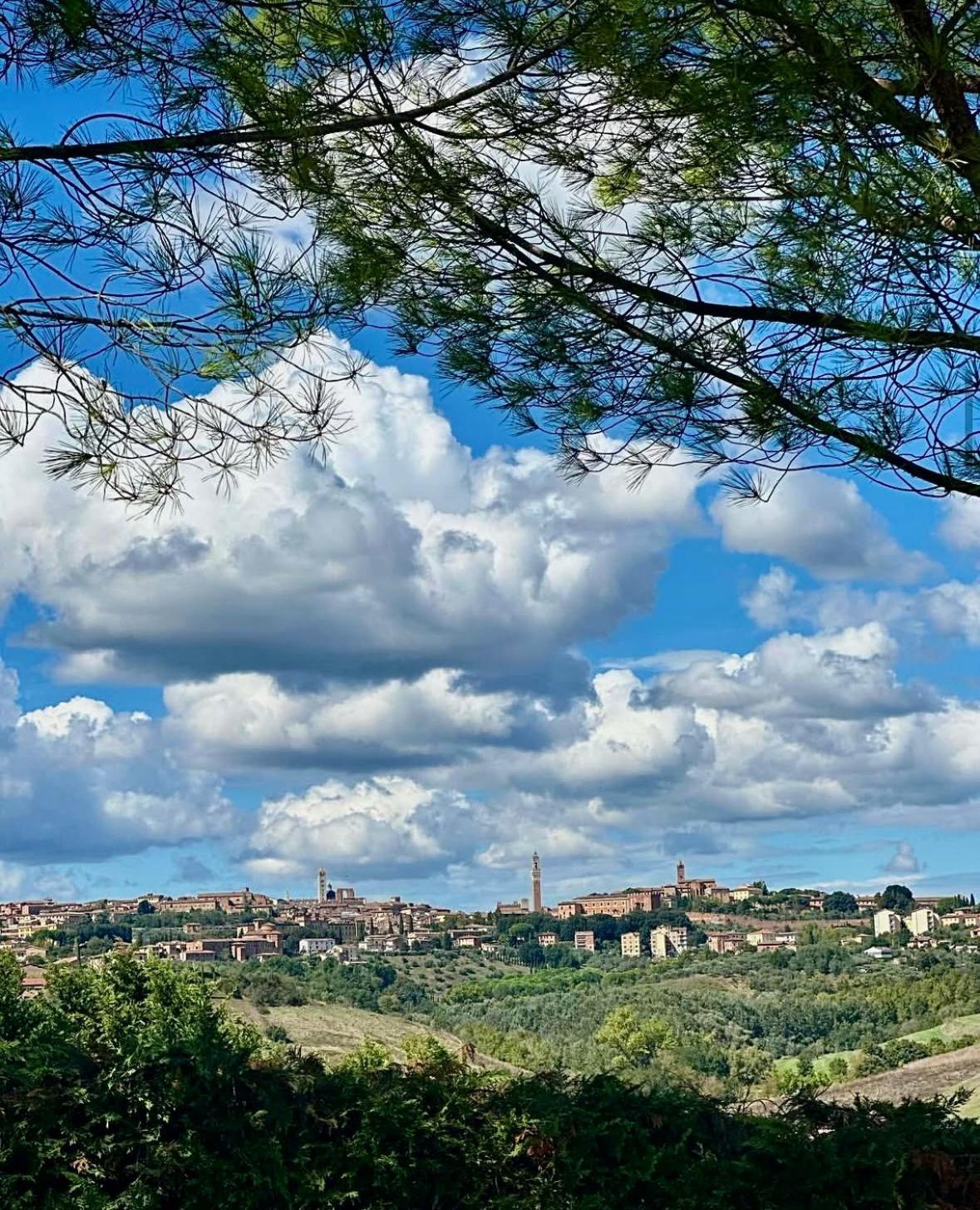 Agriturismo La Terrazza Sul Mangia Siena Luaran gambar